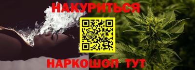 стафф Донецк