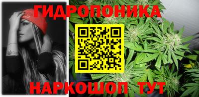 стафф Донецк