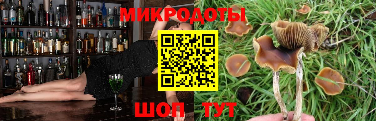Псилоцибиновые грибы MAGIC MUSHROOMS Димитровград